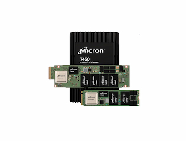Micron 7450 MAX - SSD - Enterprise - 1600 GB - U.3 PCIe 4.0