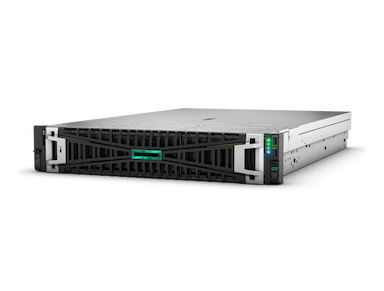 HPE ProLiant DL365 Gen11 - 32 GB - rack-mountable - EPYC 9124 3 GHz - no HDD